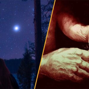 Science news this week: Neanderthals made fire, orcas and dolphins team up, and the ‘Star of Bethlehem’ explored