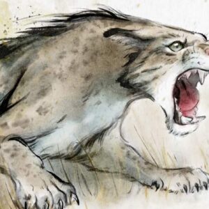 Paleontologists Discover New Species of False Saber-Toothed Cat