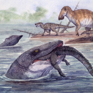 Mosasaurs Could Inhabit Freshwater Environments, New Fossil Discovery Suggests