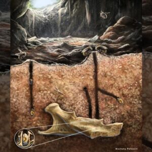 Ancient burrowing bees made their nests in the tooth cavities and vertebrae of dead rodents, scientists discover