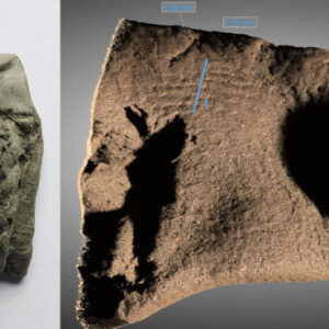 Archaeologists Find Fingerprint of Ancient Seafarer on 2,400-Year-Old Boat