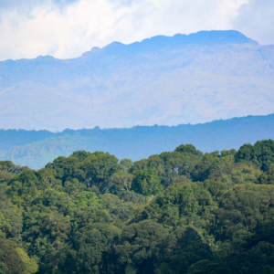 Earth’s seasons vary wildly, even at the same latitude, new research finds