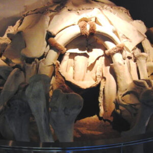 18,000-Year-Old Circular Dwellings Made of Mammoth Bones Unearthed in Ukraine