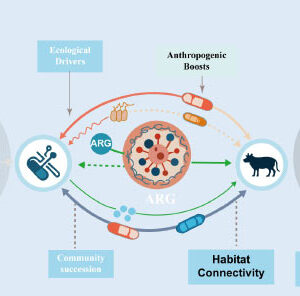 Antibiotic Resistance is Ancient Feature of Microbial Life, New Review Says