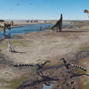 160-Million-Year-Old Dinosaur Footprints Discovered in Chile