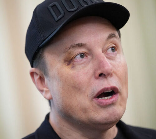 DOGE did not find $2T in fraud, but that doesn’t matter, Musk allies say