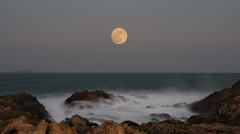 Full moons of 2026: When to see all 13 moons (including a Blue Moon and a Blood Moon) rise next year