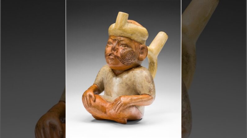 Centuries-old ‘trophy head’ from Peru reveals individual survived to adulthood despite disabling birth defect