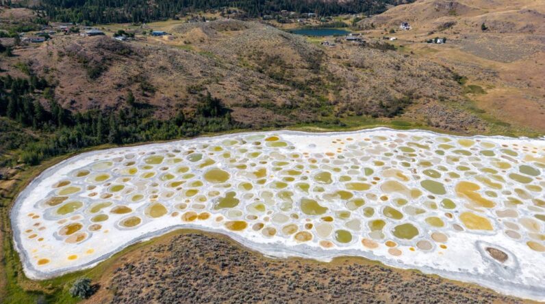 Spotted Lake: Canada’s soda lake with colorful brine pools that are smelly and slimy ‘like the white of an egg’