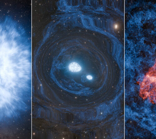 Research roundup: 7 cool science stories we almost missed