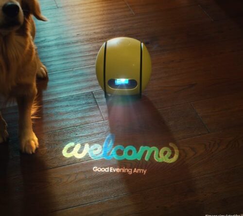 Samsung’s Ballie home robot, once promised for summer 2025, gets grim update