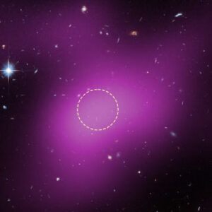 New Type of Astronomical Object Discovered: RELHIC