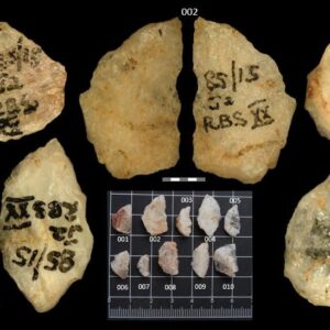 60,000-year-old poison arrows from South Africa are the oldest poison weapons ever discovered