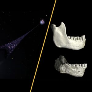 Science news this week: A runaway black hole, a human ancestor discovered in Casablanca cave, and vaccine schedule slashed