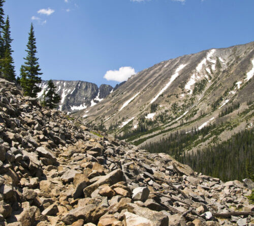 US Black Hawk helicopter trespasses on private Montana ranch to grab elk antlers