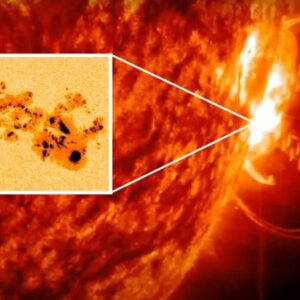 Giant sunspot that triggered recent solar ‘superstorm’ shot out nearly 1,000 flares and a secret X-rated explosion, record-breaking study reveals