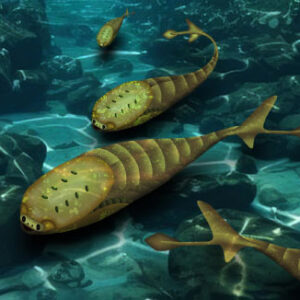 Study: Late Ordovician Mass Extinction Cleared Way for First Fishes