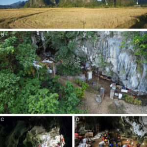 Enigmatic Hominins May Have Overlapped with Homo sapiens on Sulawesi