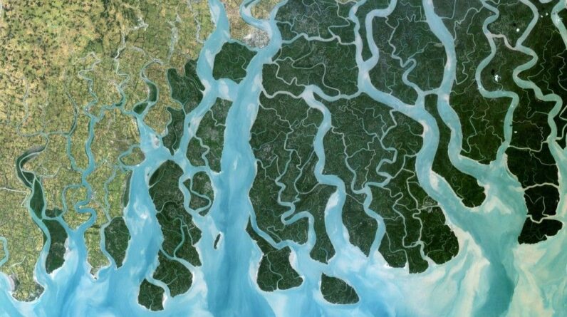 18 of Earth’s biggest river deltas — including the Nile and Amazon — are sinking faster than global sea levels are rising