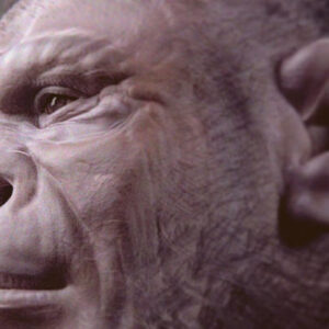 2-Million-Year-Old Skeleton Offers Clearest Look Yet at Homo habilis