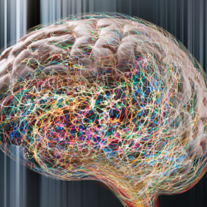 ‘Zombie’ cells may drive common form of epilepsy