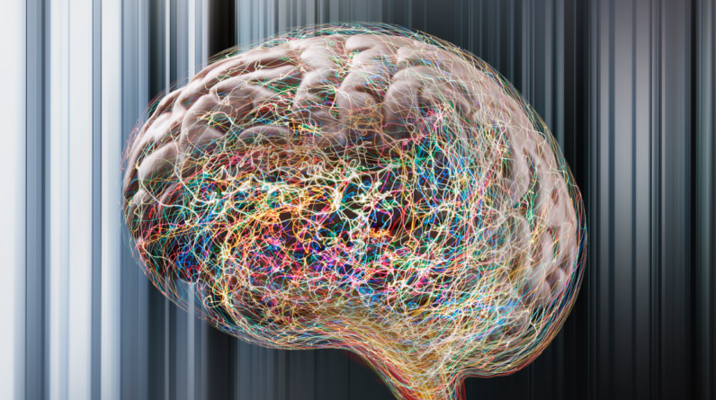 ‘Zombie’ cells may drive common form of epilepsy