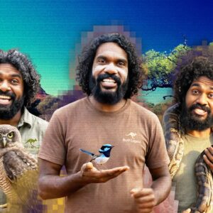 Indigenous TikTok star ‘Bush Legend’ is actually AI-generated, leading to accusations of ‘digital blackface’