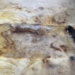 Eerie ‘sand burials’ of elite Anglo-Saxons and their ‘sacrificed’ horse discovered near UK nuclear power plant