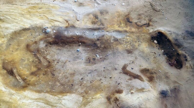 Eerie ‘sand burials’ of elite Anglo-Saxons and their ‘sacrificed’ horse discovered near UK nuclear power plant