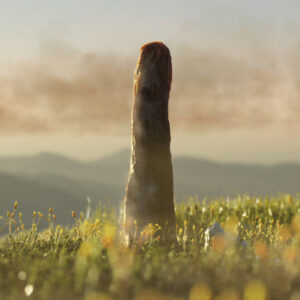 Prototaxites May Be Completely Unknown Branch of Complex Life