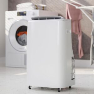 How to choose the best dehumidifier for your home this season