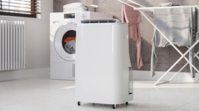 How to choose the best dehumidifier for your home this season