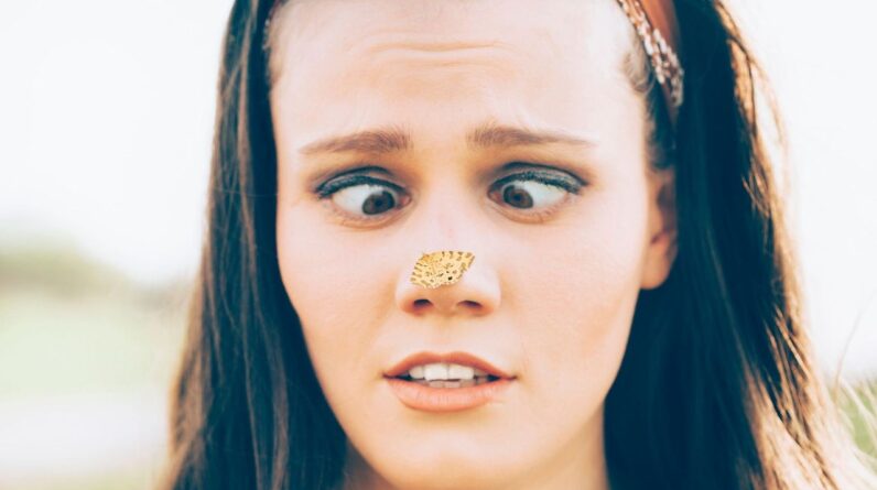 Why don’t you usually see your nose?