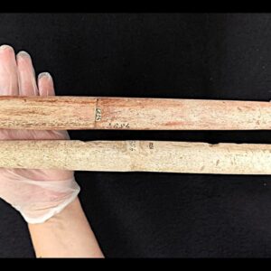 Some of the oldest harpoons ever found reveal Indigenous people in Brazil were hunting whales 5,000 years ago