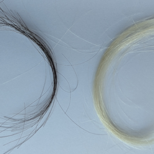 Preserved hair reveals just how bad lead exposure was in the 20th century