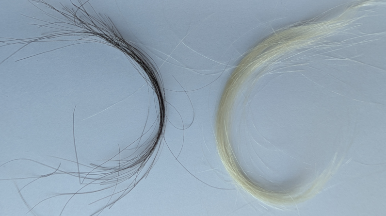 Preserved hair reveals just how bad lead exposure was in the 20th century