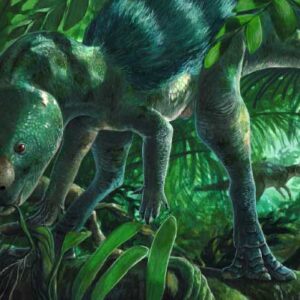 Tiny New Species of Herbivorous Dinosaur Unearthed in Spain