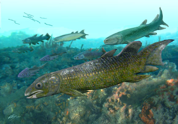 Enigmatic Fossils Fill Missing Chapters in Story of Earth’s First Fishes