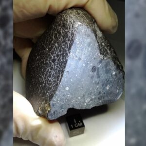 Martian meteorite that fell to Earth is full of ancient water, new scans reveal