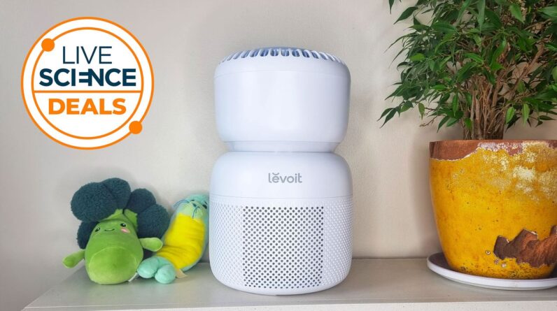 The best toddler-friendly air purifier we have tested is now at its lowest-ever price