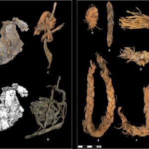 World’s oldest known sewn clothing may be stitched pieces of ice age hide unearthed in Oregon cave