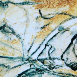 Japanese Archipelago Was Once a Refuge for Cave Lions