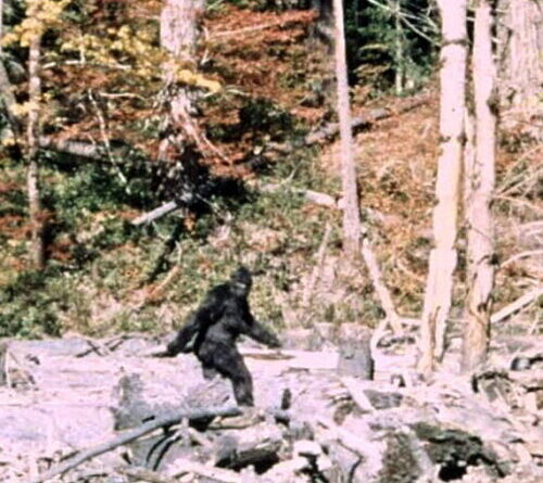“It ain’t no unicorn”: These researchers have interviewed 130 Bigfoot hunters