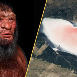 Science news this week: China turns a desert into a carbon sink, a Viking Age grave holds a giant who had brain surgery, real-life inception, and a last-minute Valentine’s gift idea from nature