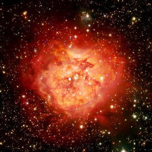 Chandra Spots Cluster of Newborn Stars in Cocoon Nebula