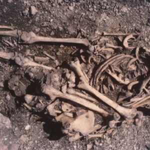 5,500 years ago, a teenage girl was buried with her father’s bones on her chest, new DNA study reveals