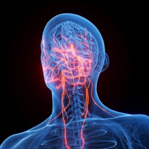 Sleep deprivation harms the gut via the vagus nerve, early study reveals