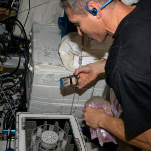 Fungi on International Space Station Show Surprising Metal Extraction Skills