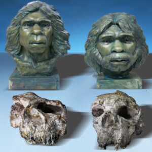 ‘Absolute surprise’: Homo erectus skulls found in China are almost 1.8 million years old — the oldest evidence of the ancient human relatives in East Asia