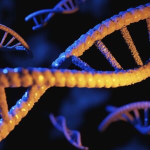 ‘Some of them have accuracy that’s close to zero’: Experts unpack the promise and pitfalls of genetic tests aimed at consumers